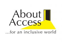 accessibility consultant
