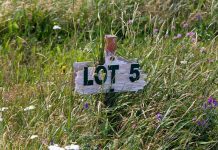 Can councils cope with changes to green belt planning policy?