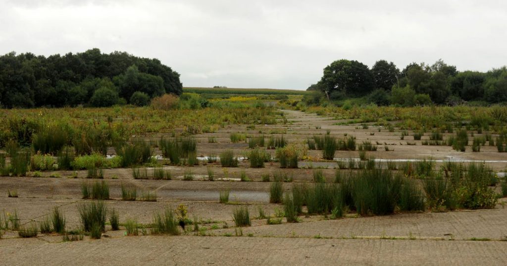 Green belt land as we don't imagine it