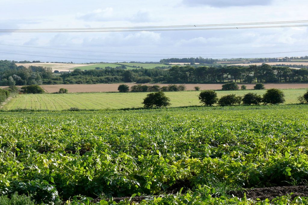 Green belt land