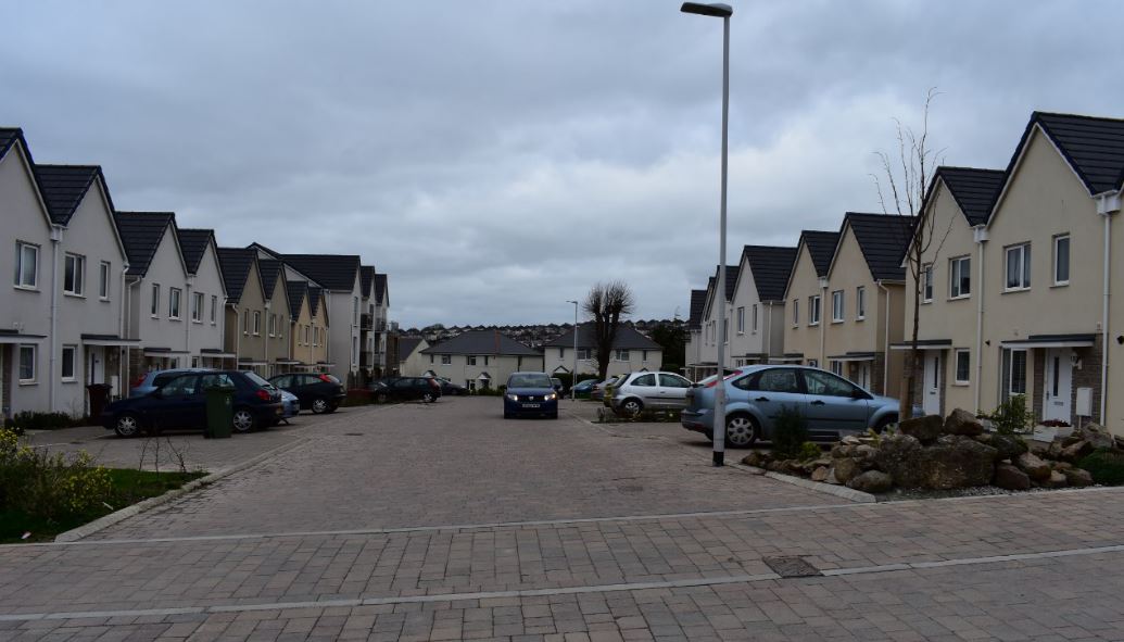 Regeneration project Regeneration project