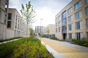 Steel Framing Systems