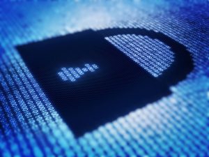 Trant Engineering Ltd v Mott MacDonald Ltd