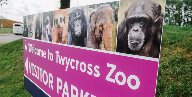 Twycross Zoo signage