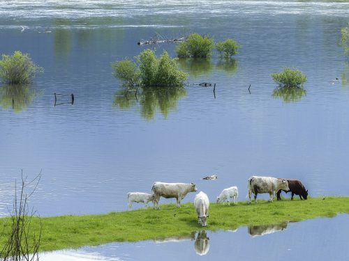 Flood risk on farms