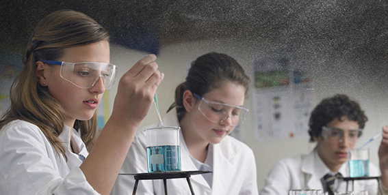 asbestos collection being offered for bunsen burner gauze mats