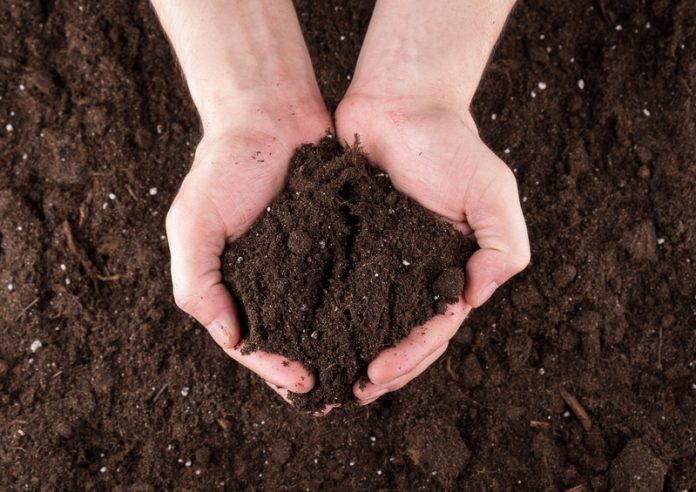 soil stabilsation