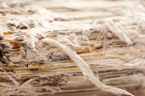 asbestos risk