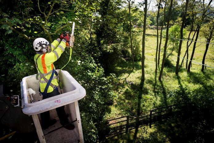 Northern Powergrid, Amey,