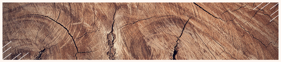 environmentally friendly, construction, Sustainable,