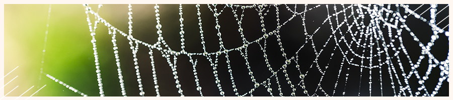 environmentally friendly, construction, Sustainable,