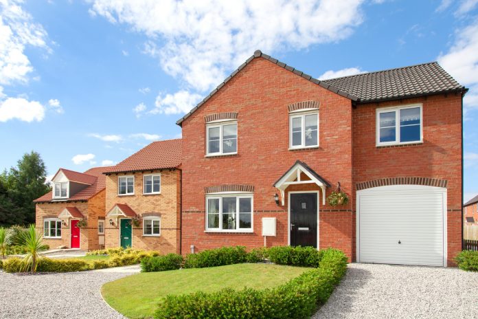 services and software, build aviator, services and software, build aviator,