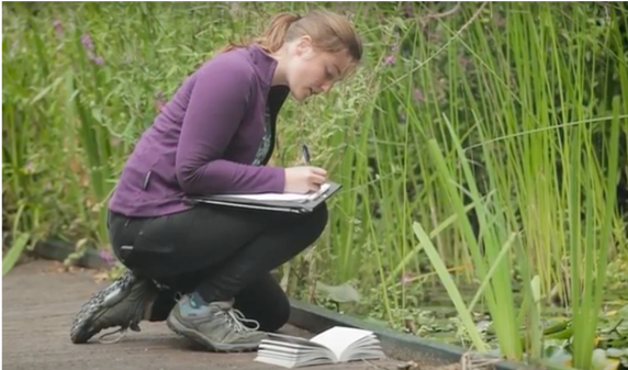 J Peacock 1 land use, Ecology, BREEAM 2018,