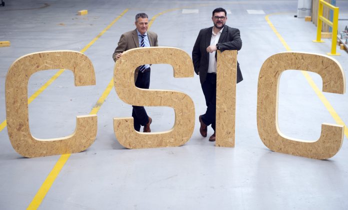 CSIC Structural timber