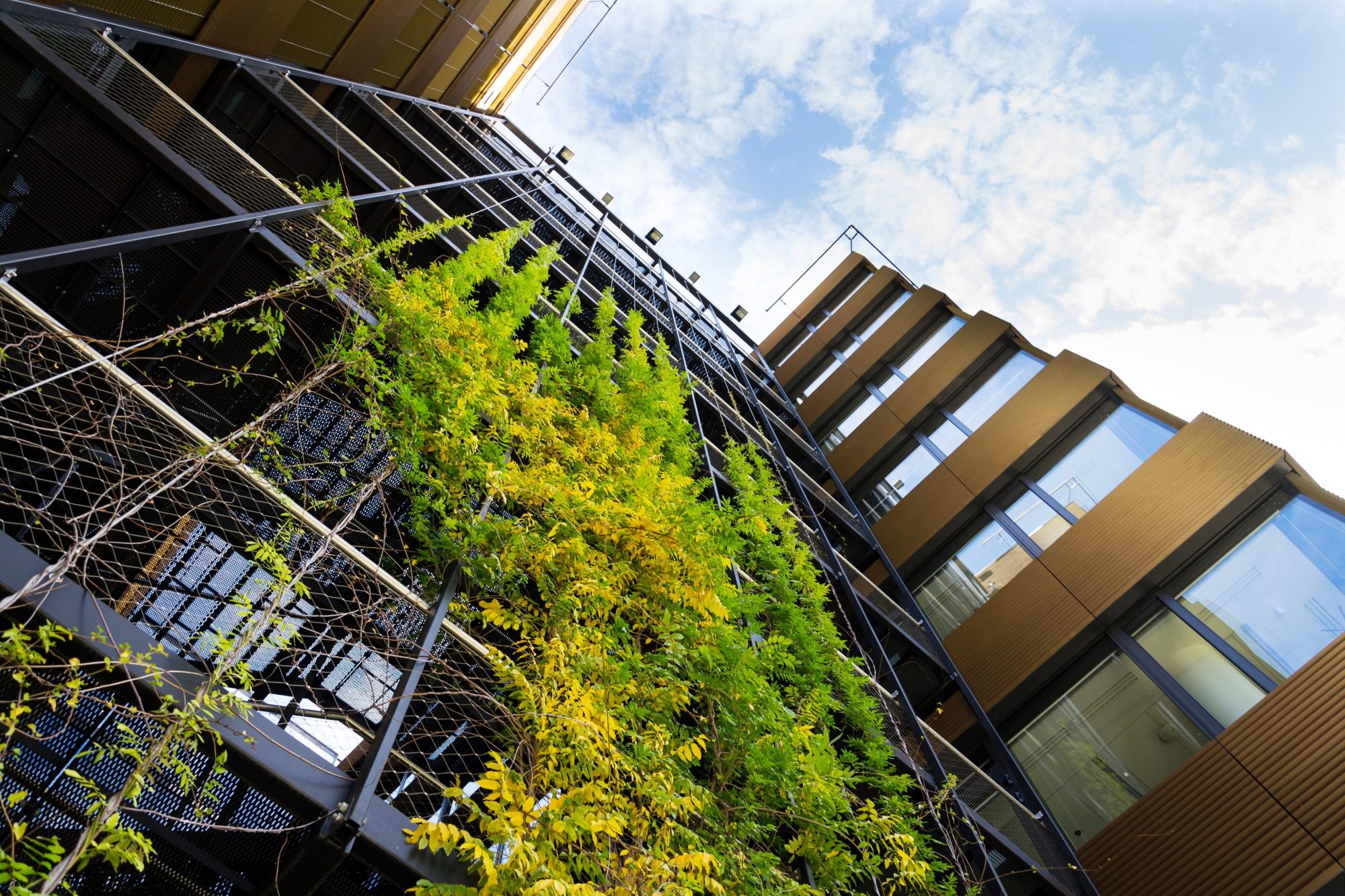 the cost benefits of green construction