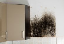 Homes Act 2018: Is dampness back in the spotlight? Homes Act