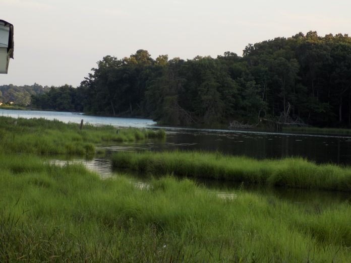 © Emmy517 Environment Agency,