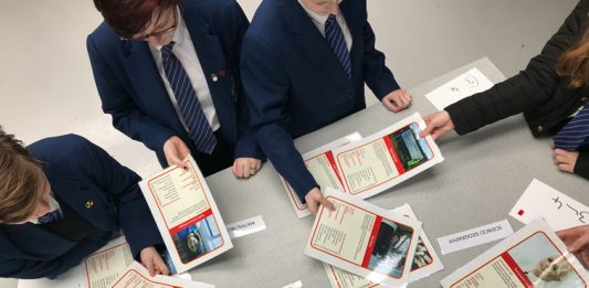 Construction Career Cards,