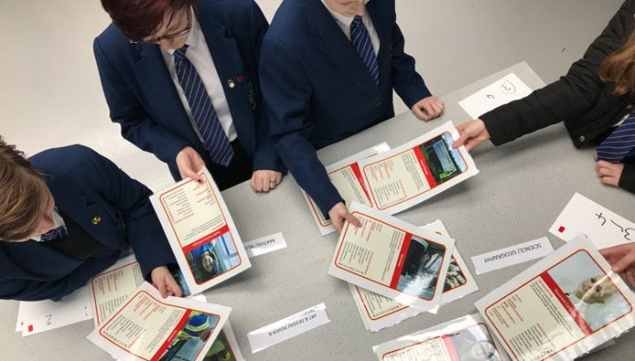 Construction Career Cards to showcase future opportunities Construction Career Cards,