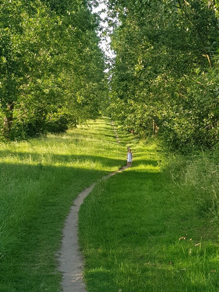 planning and mental health, RTPI,