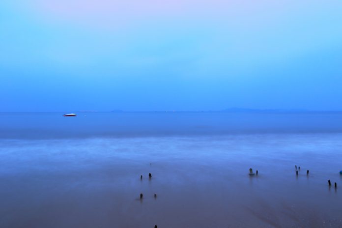 global swim rise, mental wellbeing