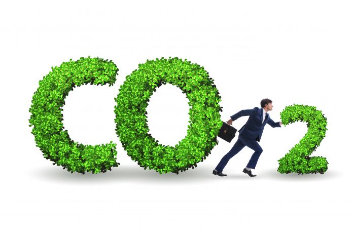 Greenhouses, agriculture, Greencoat Capital, Bury St Edmunds