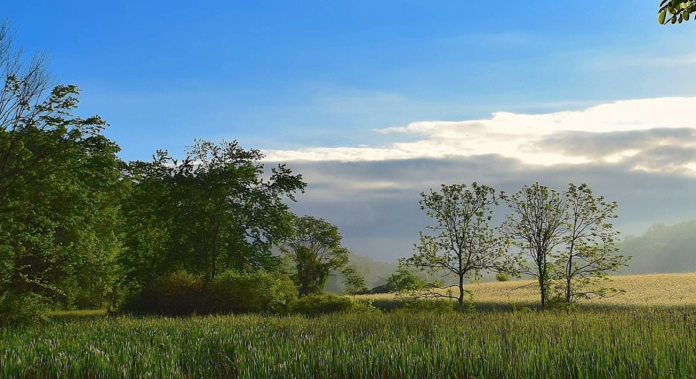 Mott MacDonald scoping assessment, Mott MacDonald