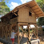 Sustainable bamboo houses to rebuild earthquake-prone regions