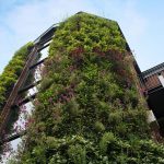 How the built environment can reduce the risk of heart attacks and stroke 1