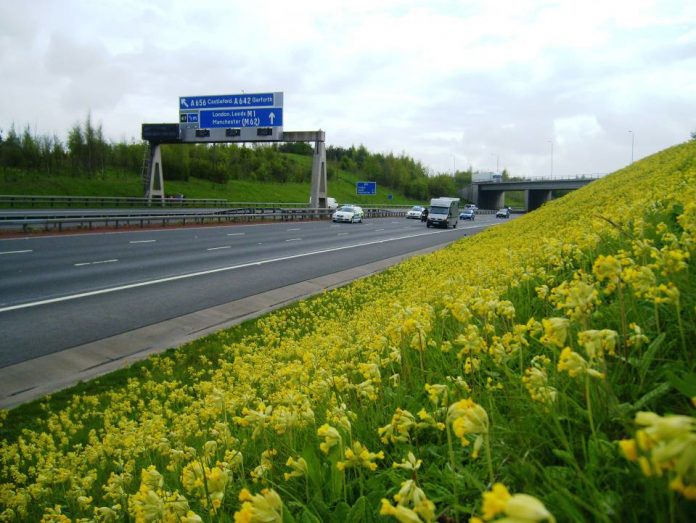 Conservation Hierarchy, Biodiversity Net Gain