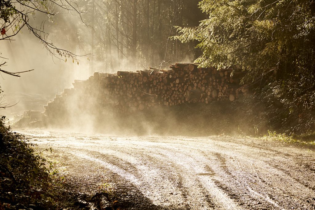 offsite construction, timber,