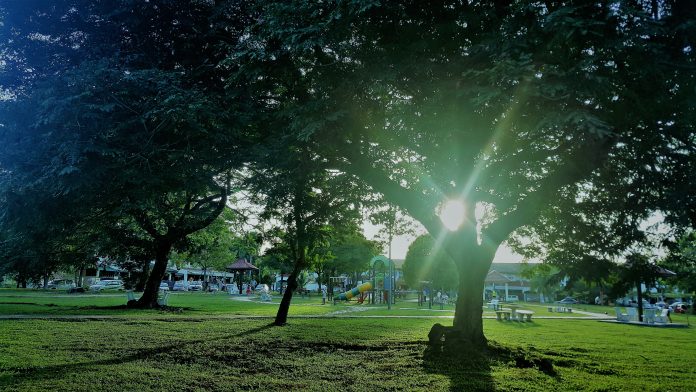 green spaces, pocket parks,