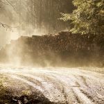 The importance of a green building rating system 1