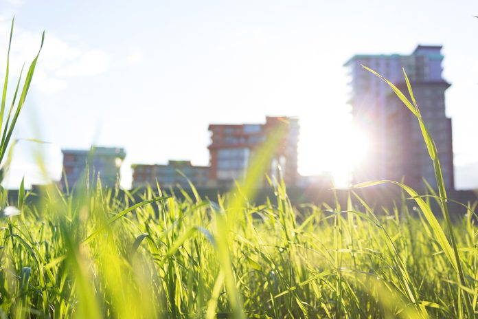 biodiversity, net gain,