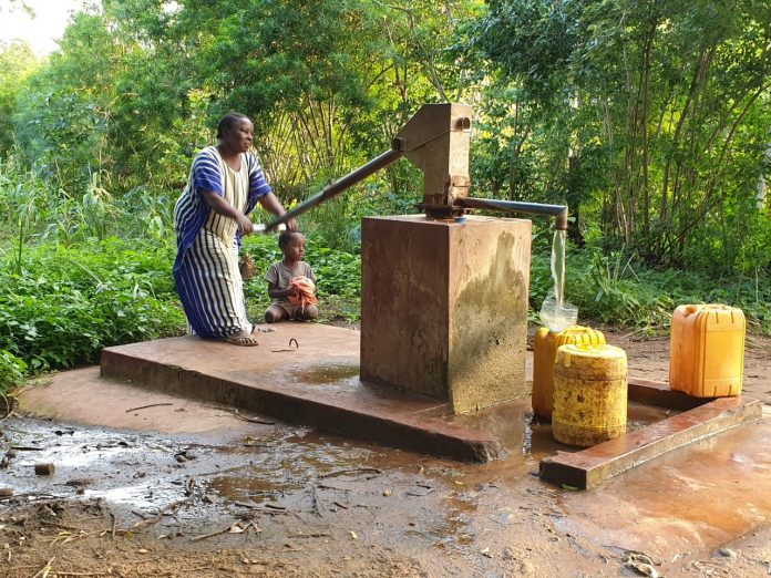 carbon neutral company, turley