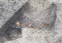HS2 archaeologists uncover skeleton of Iron Age murder victim Archaeologists, HS2,