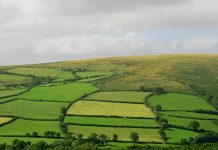 Understanding environmental risks associated with agricultural transactions environmental risks, agricultural land,