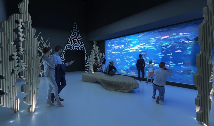 Green light for £12m reefLIVE aquarium in Belfast reefLIVE aquarium