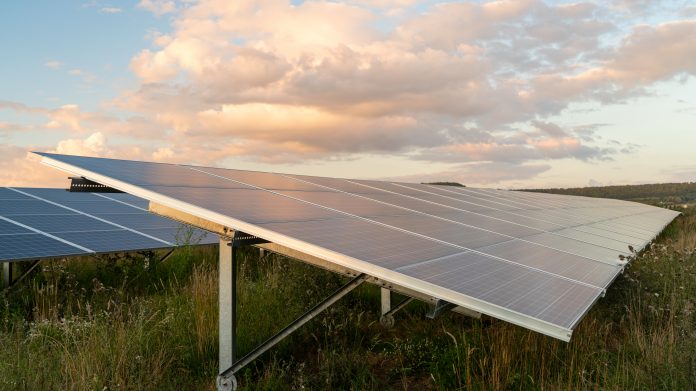 Solar farm, EDF