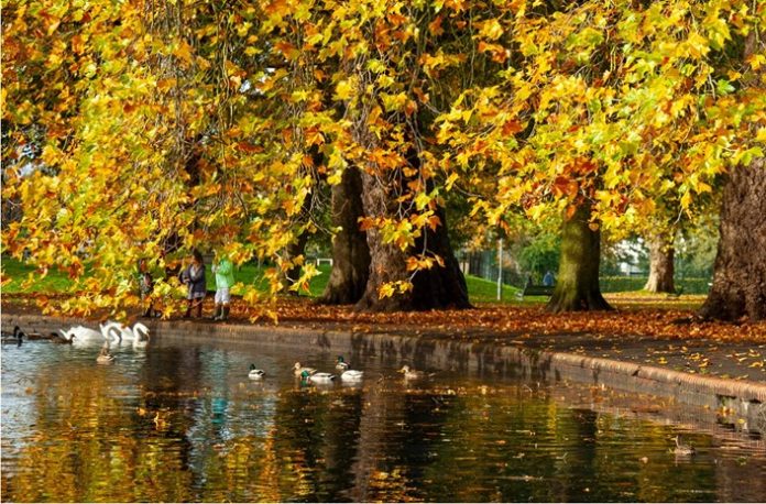 Bristol Bristol carbon footprint, ecological footprint, carbon,