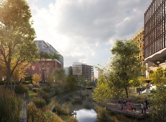 U+I_Mayfield (1) Mayfield regeneration