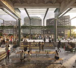 Mayfield regeneration