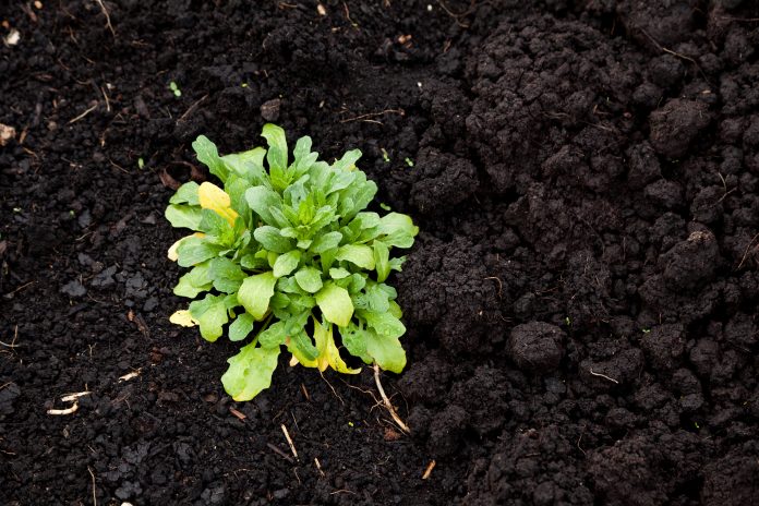 construction projects, waste, construction waste