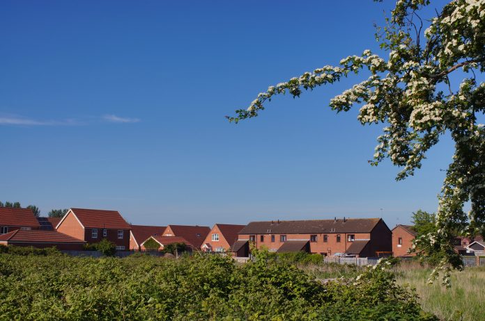 biodiversity report,