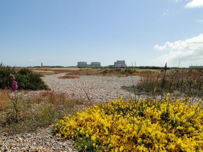 Dungeness nuclear power station