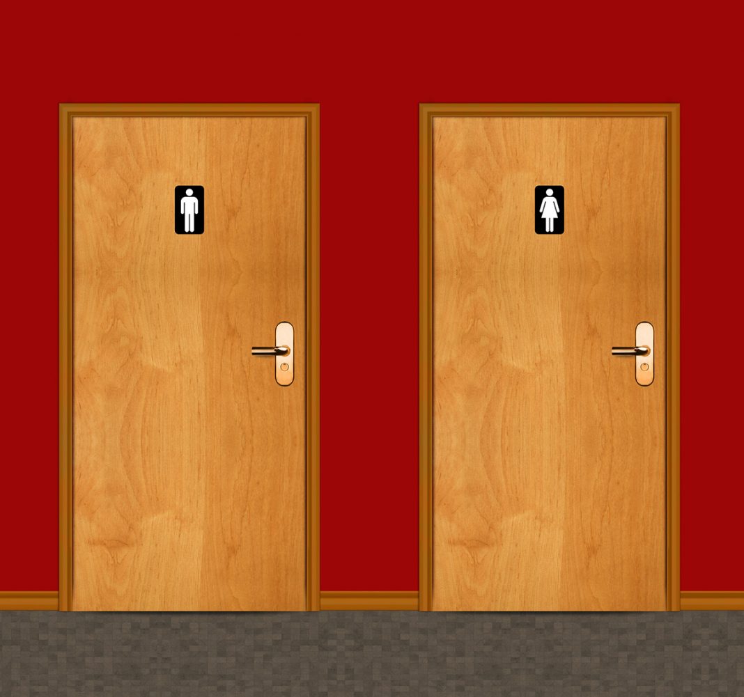 Accessible loo, loo access Accessible loo, loo access, toilet