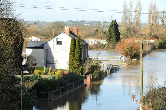 Timber flood door, flood door, flood protection,