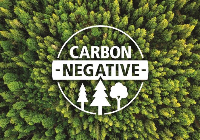 engineered wood panels