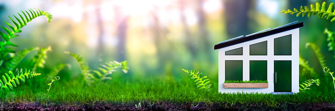 dreamstime_xxl_179924305 sfs embodied carbon