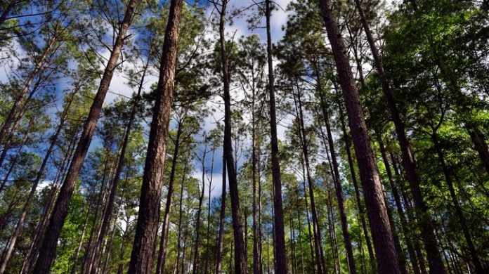 40717 GHG GHG emissions reductions